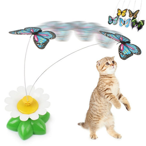Hot sale Colorful Butterfly Funny dog Cat Toys bird