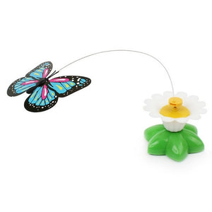 Hot sale Colorful Butterfly Funny dog Cat Toys bird