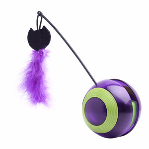 Electronic Motion Cat Toy