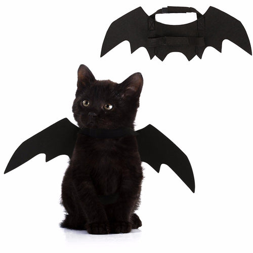 New Halloween Costume For Pet Cats