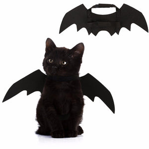 New Halloween Costume For Pet Cats