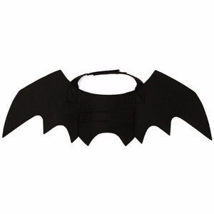 New Halloween Costume For Pet Cats