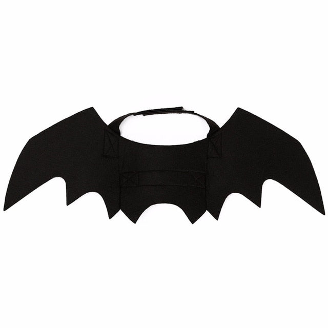 New Halloween Costume For Pet Cats