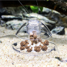 Load image into Gallery viewer, Aquarium Fish Plant Tank Plastic Clear Snail Trap Catcher Plants Planarian Pest Catch Box Leech Environment Clean Tool New