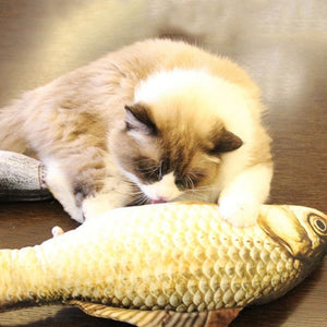 Cat Simulation Fish