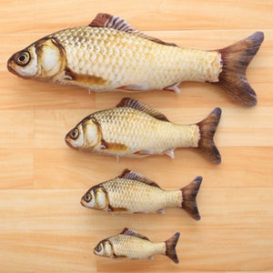 Cat Simulation Fish