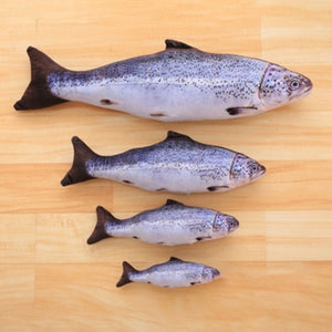 Cat Simulation Fish