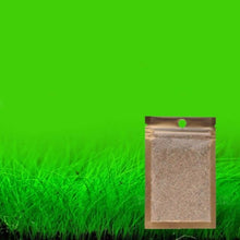 Load image into Gallery viewer, 5Bags Aquarium Grass Seeds Water Aquatic Green Bonsai Decoration Easy Planting Fish Tank Indoor Live Plants Landscape Ornamental
